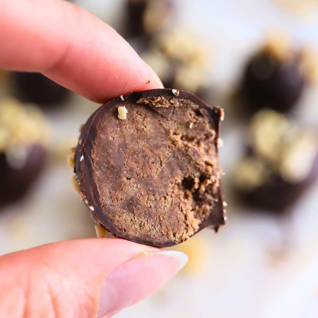 Chocolate Peanut Butter Protein Balls