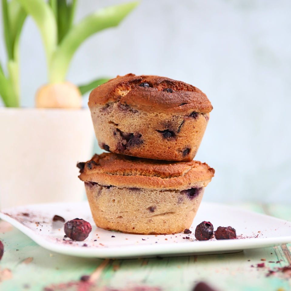 Blaubeer Muffins | 2er Pack