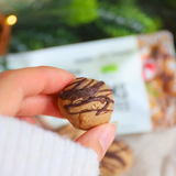 NomNoms Protein Bite Lebkuchen