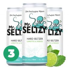 3er Set Limette & Minze | Spritziger Apfelwein | Zuckerfreier Hard Seltzer